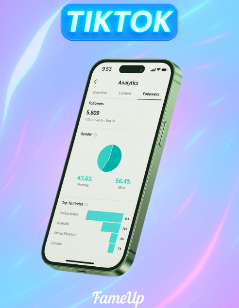 Vues tiktok